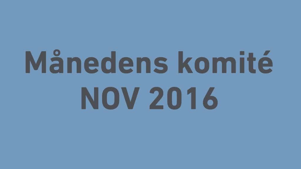 Månedens komité – NK 11 Luftledninger over 1kV - Norsk Elektroteknisk Komite (NEK)