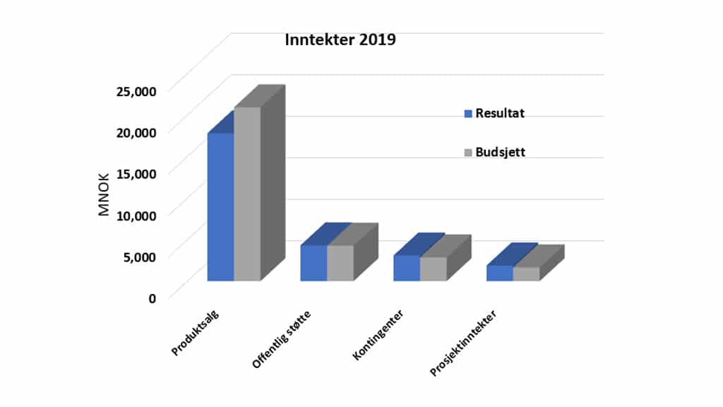 Inntekter 2019