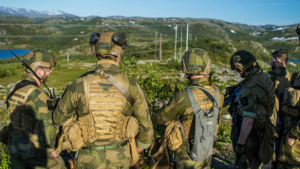 militær, forsvar og beredskap, skog, fjell, heimevernet